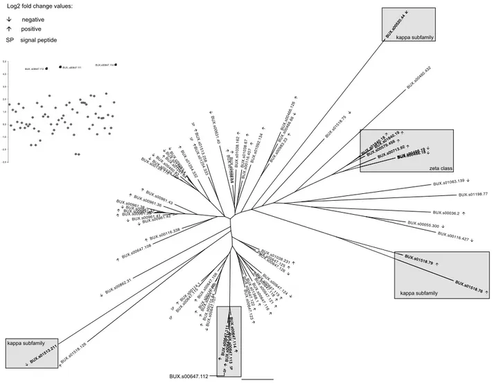 Fig. 1. Maximum-likelihood phylogenetic tree that represents the protein sequence similarity between all 70 Bursaphelenchus xylophilus predicted GSTs