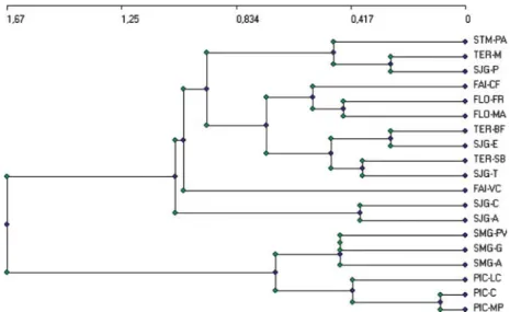Figure 3. Dendrogram from a hierarchical cluster analysis for the 19 studied Azorean areas distributed on seven islands, using the presence–absence of endemic arthropod species