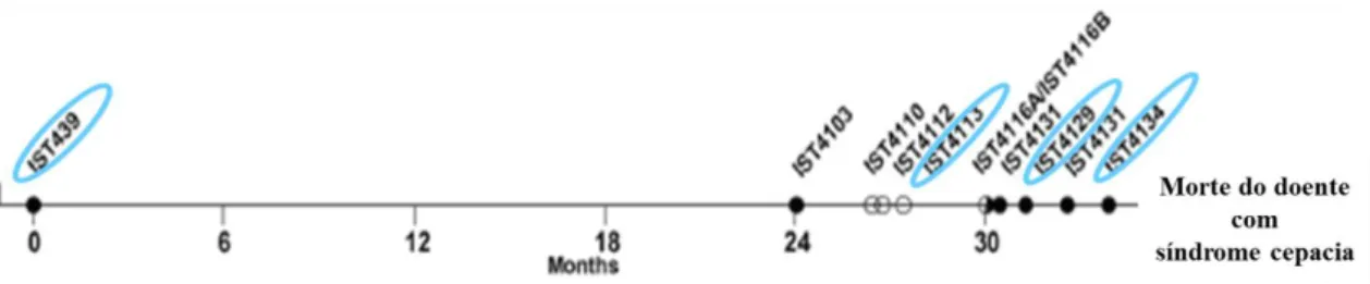 Figura  1.7 – Cronologia  dos  isolados  clonais  obtidos  do  doente  J  colonizado  com  B