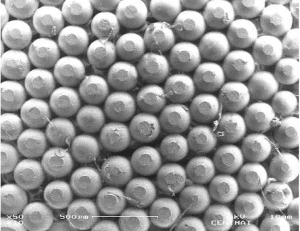 Figure 4.3 - SEM image of colloidal crystal produced at 130 o C. 