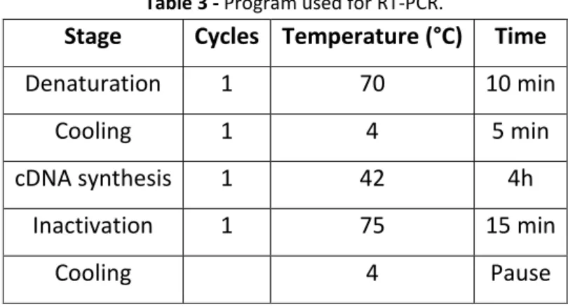 Table 3 - Program used for RT-PCR. 