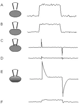 Figure 3.1.4. Test pulses produce different current responses as one proceeds through the  establishment  of  a  whole-cell  voltage  clamp  recording