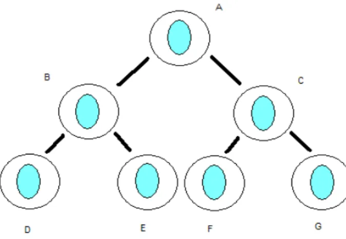 Figura 05. Representação da meiose.