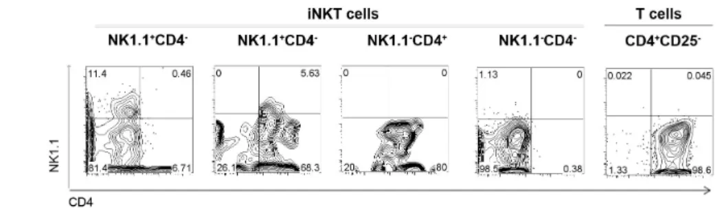 Fig. 5  Different NK1.1/CD4 iNKT cells express IL-17 in the presence of IL-1β IL-6  anti-IFN- γγγγ  and TGF-β