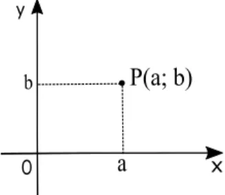 Figura 2.1: Afixo do Ponto P