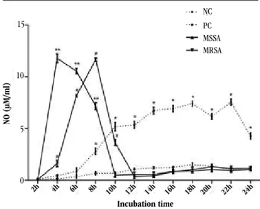 FIGURE 4 –   Kinetics of NO production by alveolar macrophages from adult Wistar rats  for NC, PC, MSSA and MRSA systems