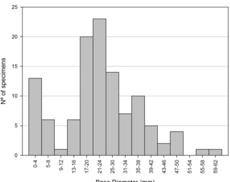 Fig.  3.  Size  distribution  (base  diameter)  of M.  azoricus  in  the  four  quadrates  on  substrate  A  after  an  immersion  period of 15 months