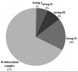 FIGURE 1 –   Percentages of mycobacterium classification isolated from 2008  to 2010