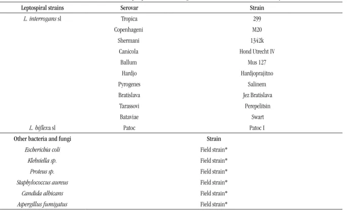 TABLE 1 –  Classiication of leptospiral and other fungi and bacterial strains used in this study