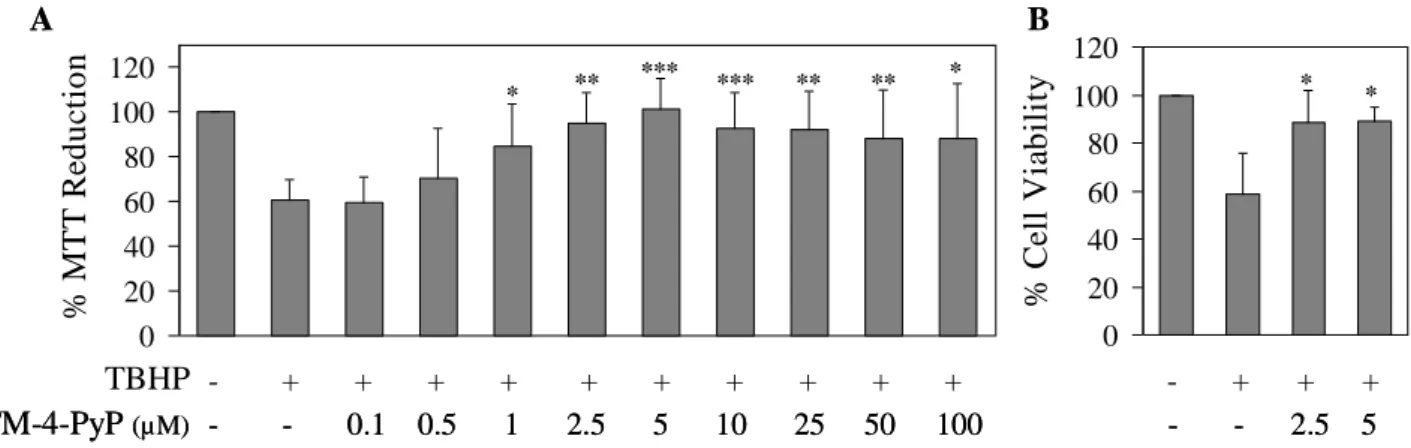 Fig. 3.9 - Effect of MnTM-4-PyP on the cytotoxicity induced by TBHP (100  M) in V79  cells