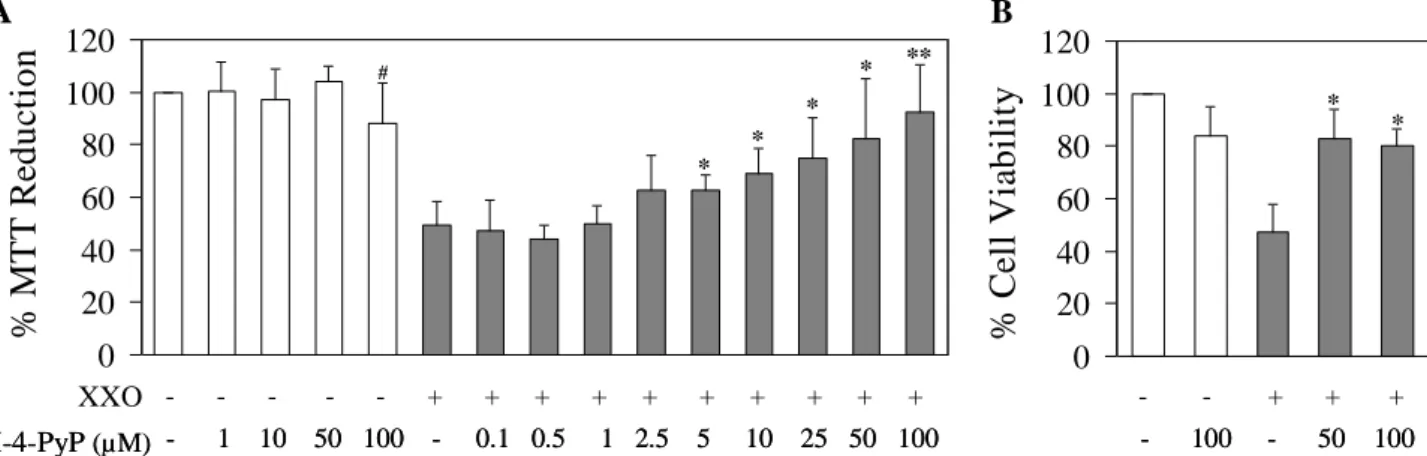 Fig. 3.7 - Effect of MnTM-4-PyP on the cytotoxicity induced by xanthine (240  M) plus  xanthine oxidase (20 U/L) in  V79  cells  - grey bars