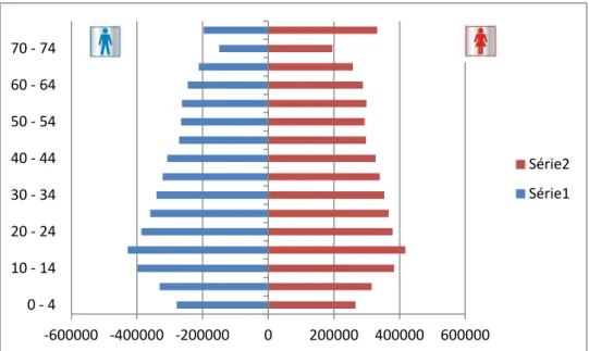 Gráfico 9 - Pirâmide Etária Nacional 1991 