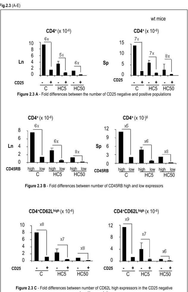 Figure 2.3 A - Fold differences between the number of CD25 negative and positive populations 