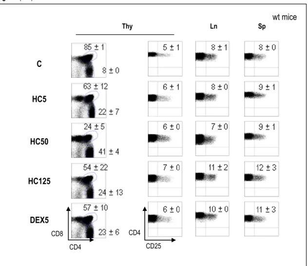 Fig. 2.4 (A-B)  wt mice  Thy  Ln  Sp  C  HC5  HC50  HC125  DEX5  CD8  CD4  CD4  CD25 