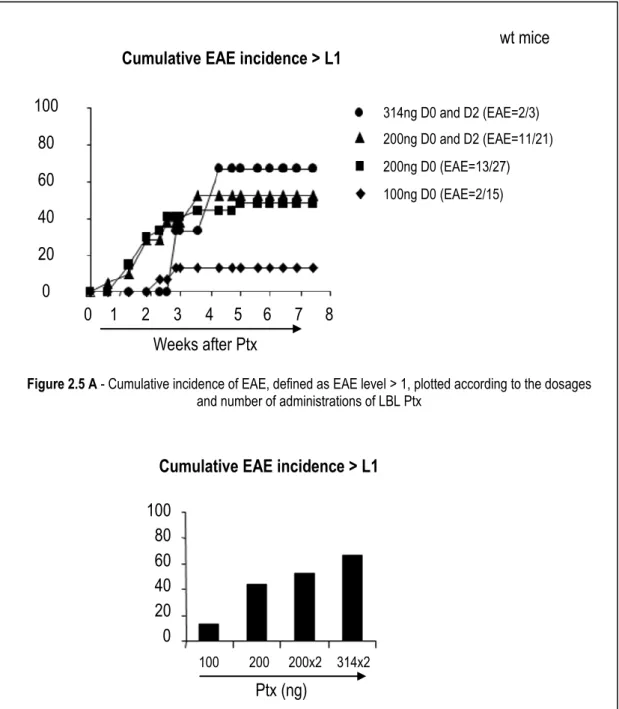 Figure 2.5 B – A snapshot of EAE incidence at 4.5 weeks after the first Ptx injection  