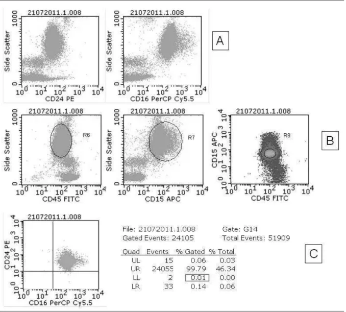 FIGURE 1 –  Analysis, by flow cytometry, of CD24 and CD16 expression in neutrophils of a peripheral blood sample from a control group subject 