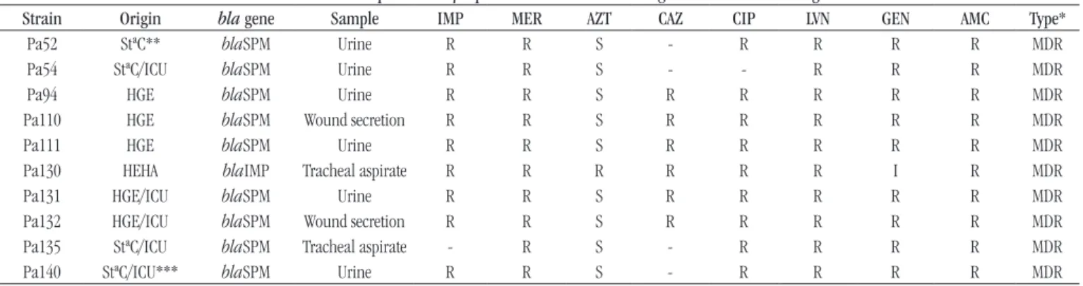 FIGURE  − PCR products (bla genes) in Pseudomonas aeruginosa strains. The negative control (C-) is the P
