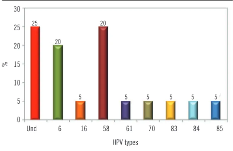 FIGURE  − Distribution of HPV types found in HPV-positive samples HPV: human papillomavirus; Und: undetermined.
