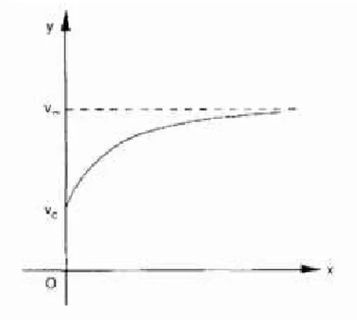 Figura 8: Atingimento da velocidade limite v ∞ do salto de paraquedas