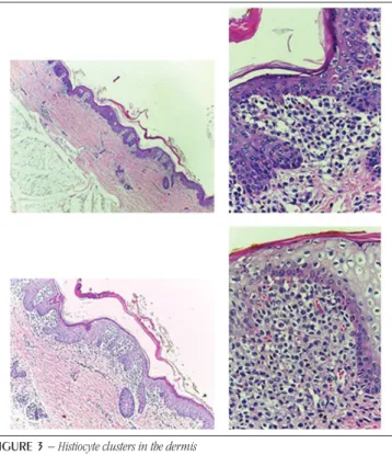 FIGURE 2  − External examination during autopsy