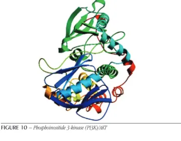 FIGURE 11  − CTNNB1 catenin beta 1 [Homo sapiens] – model – template alignment
