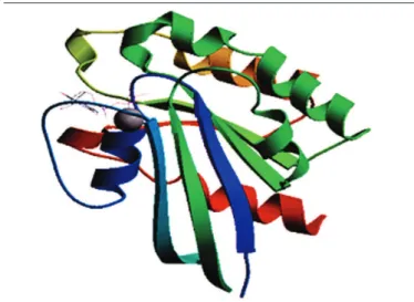FIGURE 15  − RAS gene – model – template alignmentFIGURE 14 − Chimeric PAX8-PPARG protein