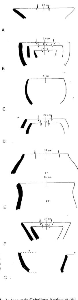 Fig. 11 - Tipos morfológicos de El Cogote, La Torre-Ávila (segundo Caballero Arribas et alii,  1993, 96, Fig