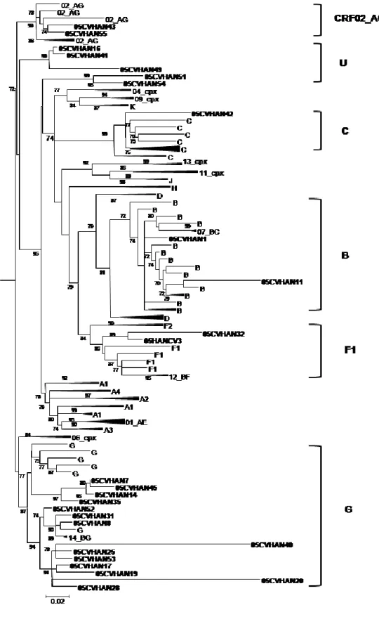 FIGURE  5.1  -  Genetic  subtypes  and  evolutionary  relationships  of  the  HIV-1  viruses  sequenced  in  this  study  based  on  maximum  likelihood  phylogenetic  trees  of  PR  (A),  RT  (B)  and  C2V3C3  env  gene  region  (C)