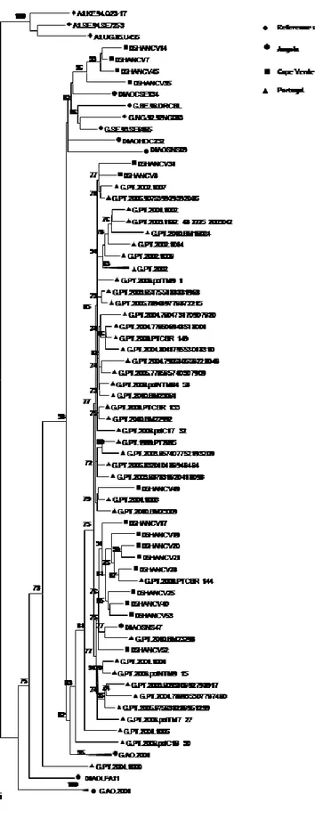 FIGURE  5.4  –  Origin  of  the  HIV-1  subtype  G  isolates  from  Cape  Verde. 