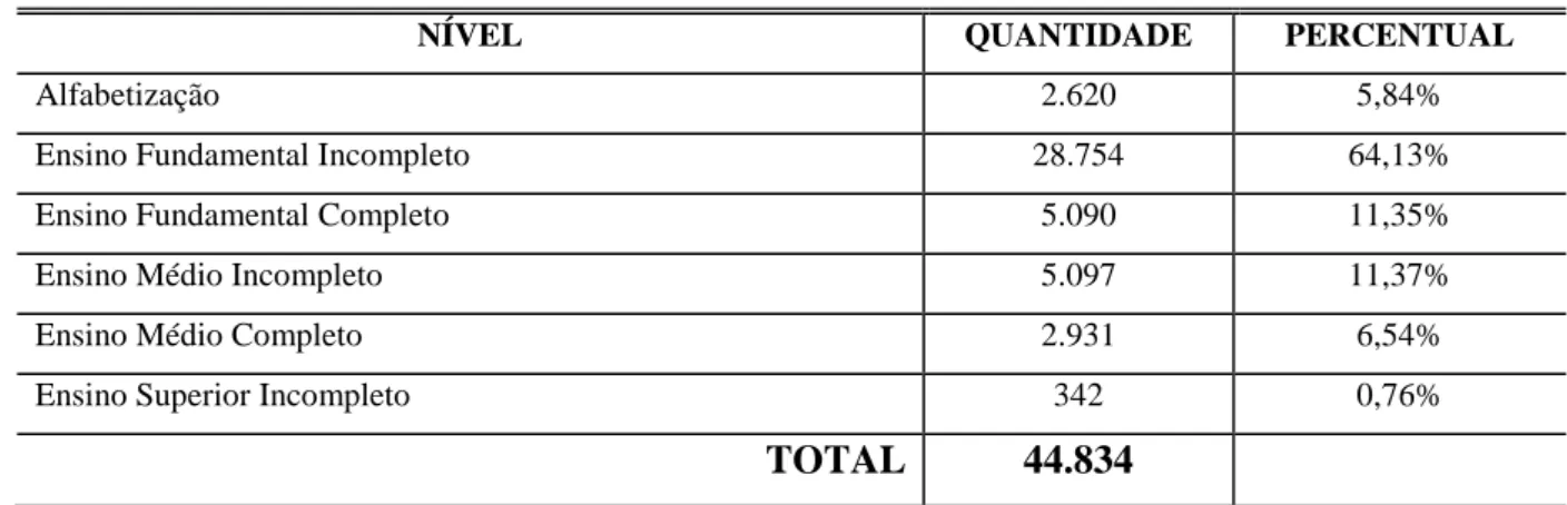 Tabela 8: Perfil educacional presos MG 