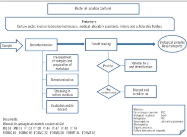 FIGURE 6 –  Flow chart of MTB and NTM species identification assay