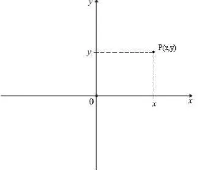 Figura 3.1 – Representa¸c˜ao do ponto P no Plano Cartesiano
