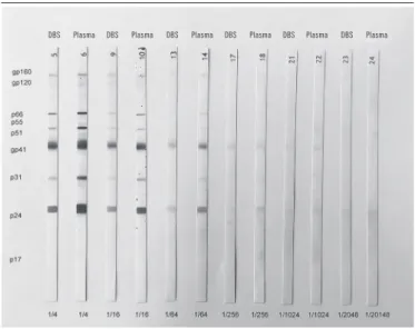 FIGURE 2  − Results of evaluation of intra- and inter-assay precision of an HIV-positive  DBS sample (weakly reactive)