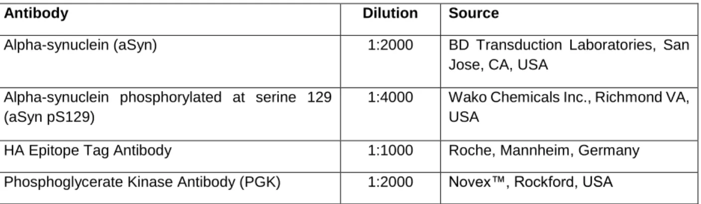 Table 3. List of primary antibodies used in this study. 