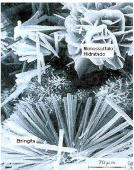 Figura  3.14  –  Micrografia  eletrônica  de  varredura  de  cristais  hexagonais  típicos  de  monossulfato  hidratado e cristais aciculares de etringita formados pela mistura de soluções de aluminato de cálcio e de  sulfato de cálcio (MEHTA e MONTEIRO, 1