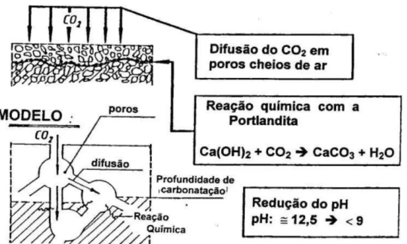 Figura  3.16  –  Representação  esquemática  da  penetração  de  CO 2   por  difusão  e  do  processo  de  carbonatação (FREIRE, 2005)