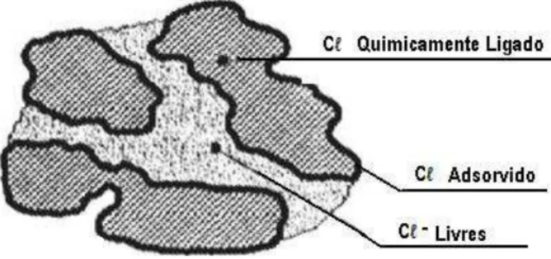 Figura 3.21  – Formas de ocorrência de íons cloreto na estrutura do concreto (CASCUDO, 1997)
