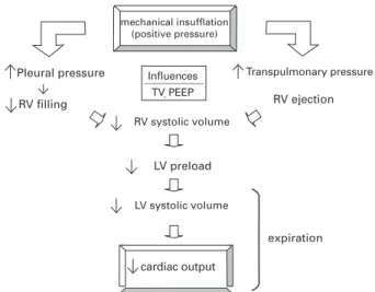 Figure  1.  Cyclic  variations  in  cardiac  output  during  mechanical ventilation