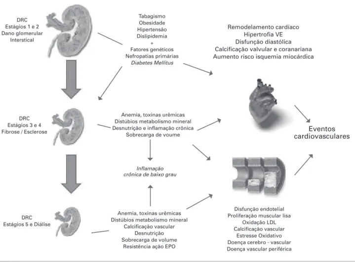 Figura 1. Fisiopatologia da Doença Cardiovascular (DCV) em pacientes portadores de Doença Renal Crônica (DRC).