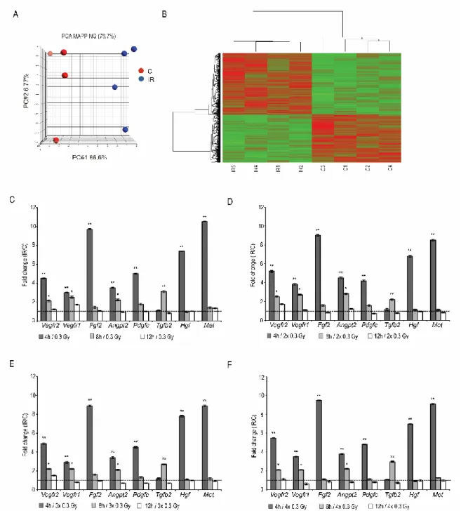 Figure 2. LDIR modulates the expression of endothelial genes involved in an angiogenic  response