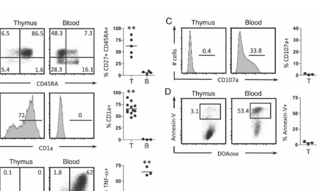 Figure  5:  Human  γδ  thymocytes  are  devoid  of  IFN-γ  production  and  cytotoxic  functions