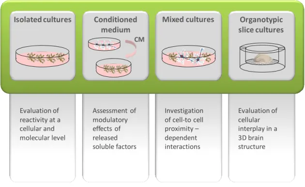 Fig. I.8.  Schematic representation of experimental models and respective main  applications used for the evaluation of microglial reactivity