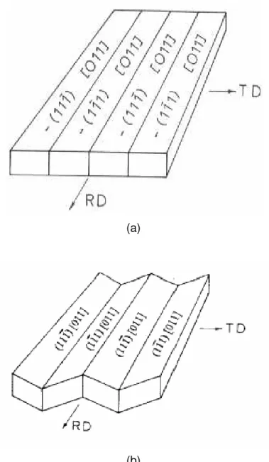Figura  3.15  -  Representação  esquemática  do  mecanismo  de  “ridging”  proposto  por  Takechi 