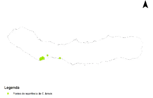Figura 7: Mapa dos pontos de ocorrência da praga de Cryptotermes brevis no ano de 2018 na Ilha de S