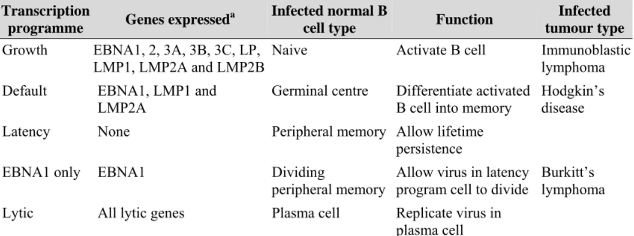 Table 1.3.  The EBV transcription programmes in normal B cells and tumours (from Thorley-Lawson,  2005) 
