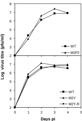 Figure 2.3.  M2 mutant viruses grow normally in vitro. Multi-step growth curves were constructed for  mutant, wild-type and revertant viruses by infection of BHK-21 monolayers at low multiplicity (0.01  pfu/cell)