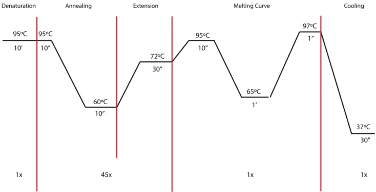 Figure 2-2 - qPCR conditions.