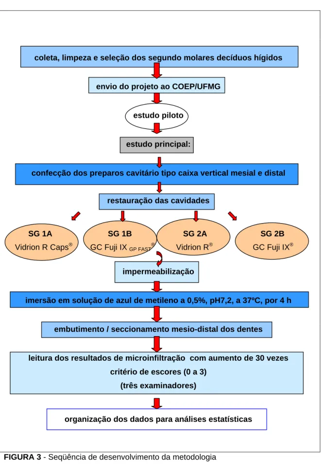 FIGURA 3 - Seqüência de desenvolvimento da metodologia 