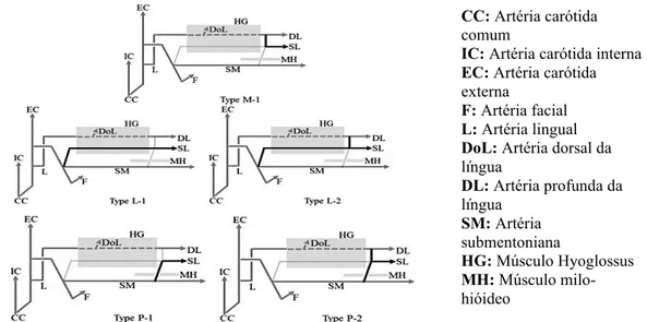 Fig.  11.  Diagramas mostrando o caminho M, L-1 e L-2, P-1 e P-2 da artéria sublingual (adaptado de  Masui et al., 2016)      