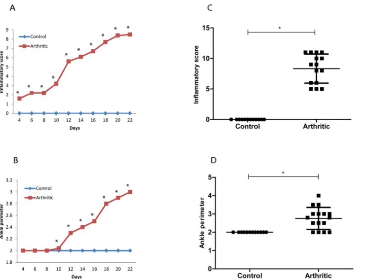 Figure 1. Inflammatory score (A) and ankle perimeter (B) throughout time. Inflammatory score (C) (p = 0.0037) and Ankle perimeter (D) (p = 0.0085) in control (N = 12) and arthritic groups (N = 16) by the time of sacrifice after 22 days post disease inducti
